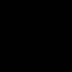 Meet your Posher, Rhonda